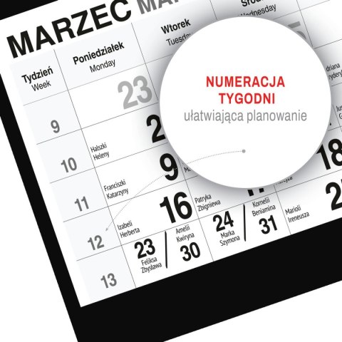Kalendarz ścienny GÓRY A5 250mm x 450mm Press Press