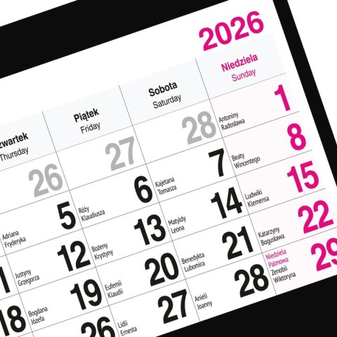 Kalendarz ścienny GÓRY A5 250mm x 450mm Press Press