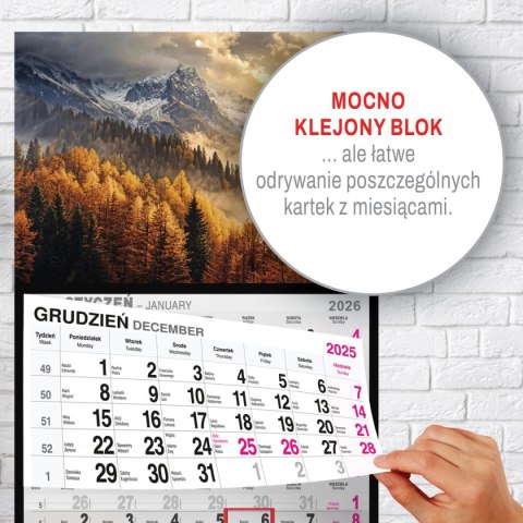Kalendarz ścienny GÓRY A5 250mm x 450mm Press Press