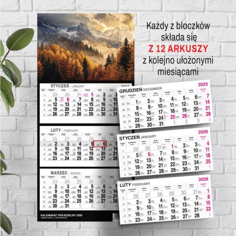 Kalendarz ścienny GÓRY A5 250mm x 450mm Press Press
