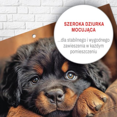 Kalendarz ścienny JEDNODZIELNY PIES A4 210mm x 295mm Press Press