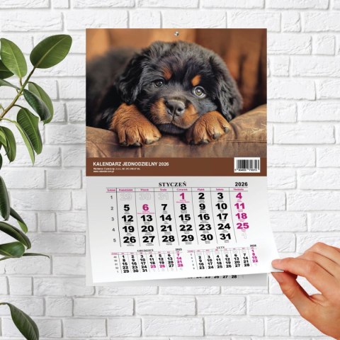 Kalendarz ścienny JEDNODZIELNY PIES A4 210mm x 295mm Press Press