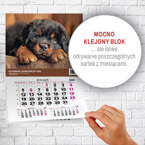 Kalendarz ścienny JEDNODZIELNY PIES A4 210mm x 295mm Press Press