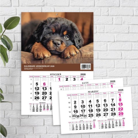 Kalendarz ścienny JEDNODZIELNY PIES A4 210mm x 295mm Press Press