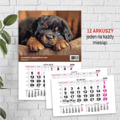 Kalendarz ścienny JEDNODZIELNY PIES A4 210mm x 295mm Press Press