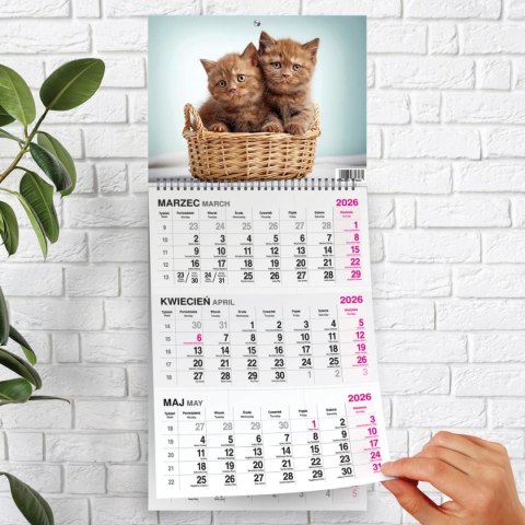 Kalendarz ścienny KOT 310mm x 790mm Press Press