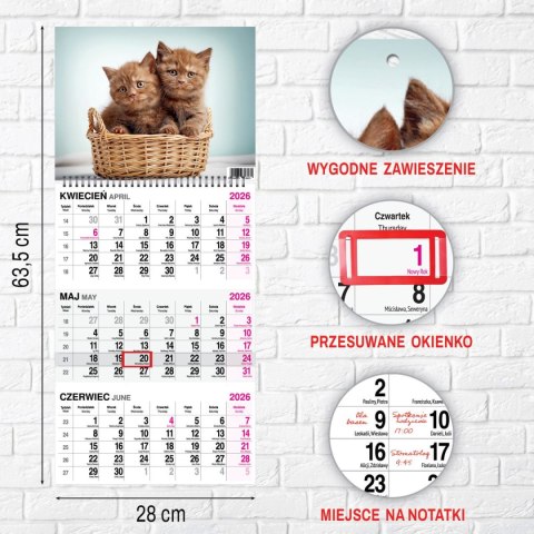 Kalendarz ścienny KOT 310mm x 790mm Press Press