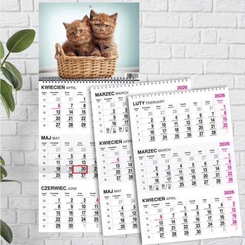 Kalendarz ścienny KOT 310mm x 790mm Press Press