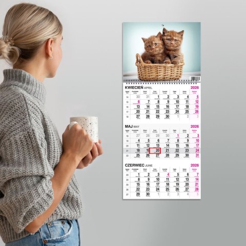 Kalendarz ścienny KOT 310mm x 790mm Press Press