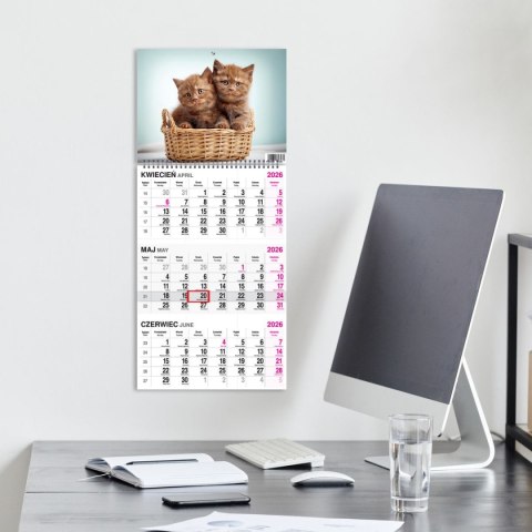 Kalendarz ścienny KOT 310mm x 790mm Press Press