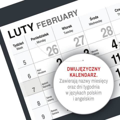 Kalendarz ścienny KOT A5 210mm x 450mm Press Press