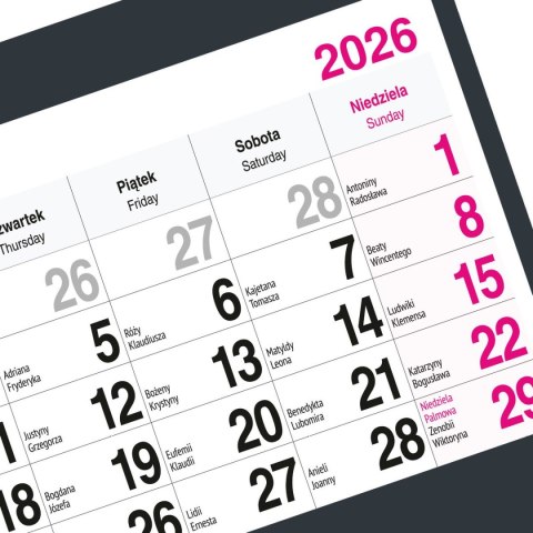 Kalendarz ścienny KOT A5 210mm x 450mm Press Press