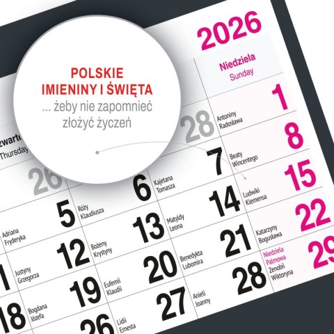 Kalendarz ścienny KOT A5 210mm x 450mm Press Press