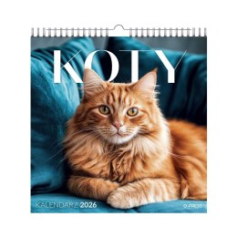 Kalendarz ścienny KOTY 33x33 330mm x 330mm Press Press