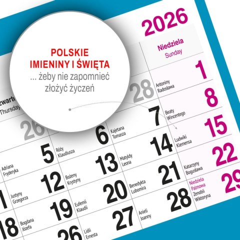 Kalendarz ścienny PALMY 310mm x 790mm Press Press