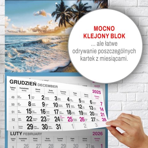 Kalendarz ścienny PALMY 310mm x 790mm Press Press