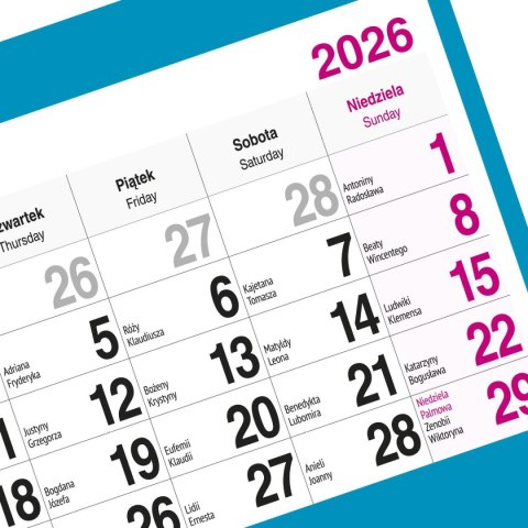 Kalendarz ścienny PALMY 310mm x 790mm Press Press