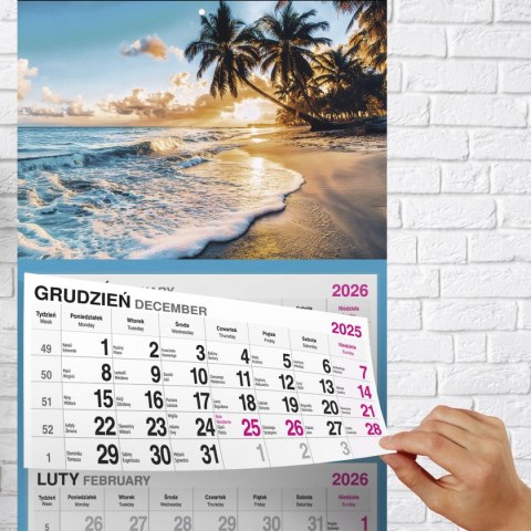 Kalendarz ścienny PALMY 310mm x 790mm Press Press