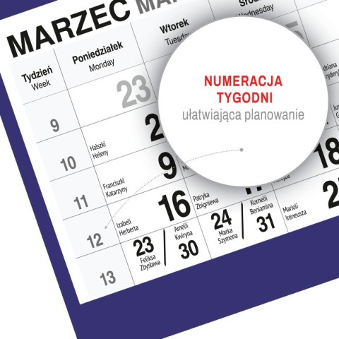 Kalendarz ścienny PLAŻA A4 210mm x 450mm Press Press