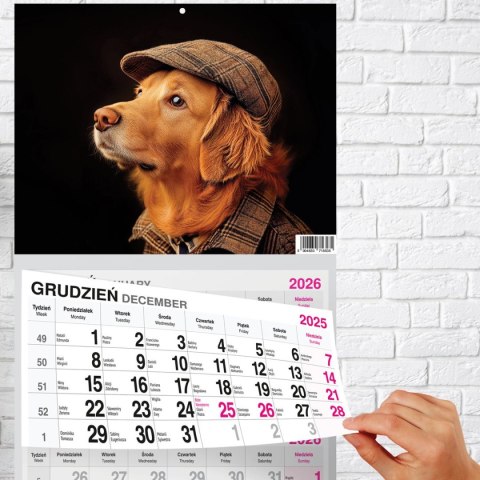 Kalendarz ścienny PREMIUM trójdzielny A4 Press (PIES) Press