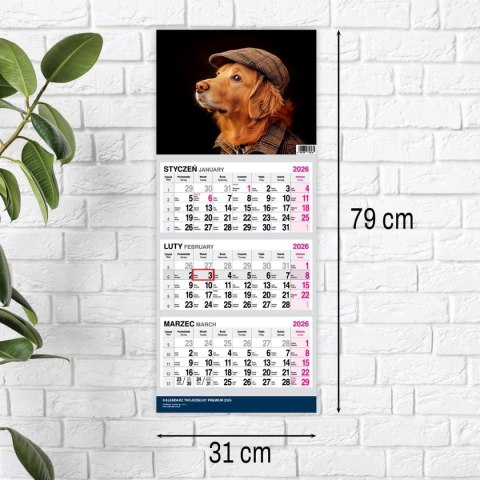 Kalendarz ścienny PREMIUM trójdzielny A4 Press (PIES) Press
