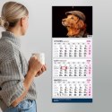 Kalendarz ścienny PREMIUM trójdzielny A4 Press (PIES) Press