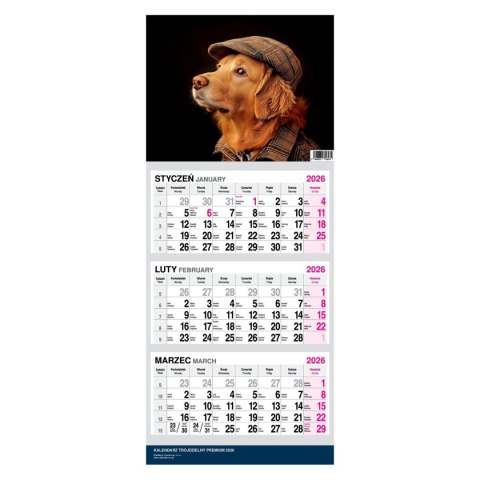 Kalendarz ścienny PREMIUM trójdzielny A4 Press (PIES) Press