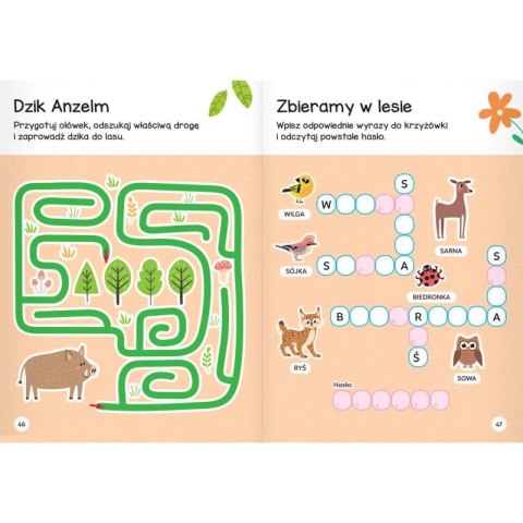 Książka dla dzieci Łamigłówki przedszkolaka z wiewiórką od 5 lat Aksjomat Aksjomat