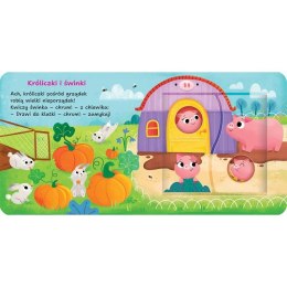 Książka dla dzieci Na wsi. Aksjomat Aksjomat