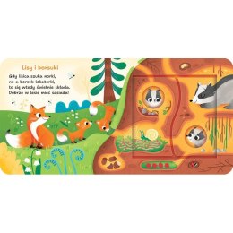 Książka dla dzieci W lesie. Otwórz i sprawdź! Aksjomat Aksjomat