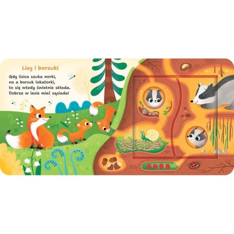 Książka dla dzieci W lesie. Otwórz i sprawdź! Aksjomat Aksjomat