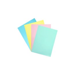 Ofertówka A4 kolor: mix typu L Biurfol (OFP-A4) Biurfol