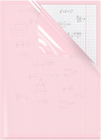 Ofertówka A4 kolor: różowa typu L Biurfol (OFP-A4-01) Biurfol