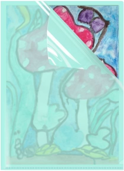 Ofertówka A4 kolor: zielony typu L Biurfol (OFP-A4-04) Biurfol