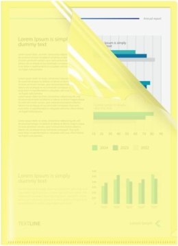 Ofertówka A4 kolor: złota typu L Biurfol (OFP-A4-03) Biurfol