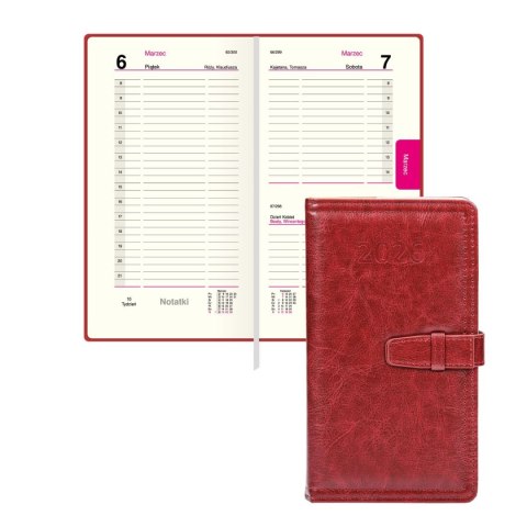 Organizer ORGANIZER 3/4 B5 (mix) Press (dzienny) Press