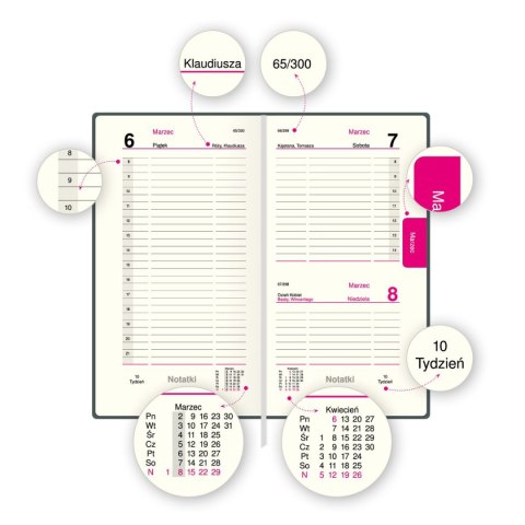 Organizer ORGANIZER 3/4 B5 (mix) Press (dzienny) Press