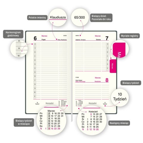 Organizer ORGANIZER 3/4 B5 (mix) Press (dzienny) Press