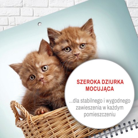 Kalendarz ścienny KOT 310mm x 790mm Press Press