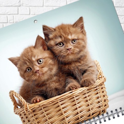 Kalendarz ścienny KOT 310mm x 790mm Press Press