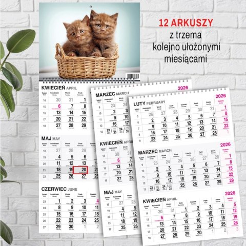 Kalendarz ścienny KOT 310mm x 790mm Press Press