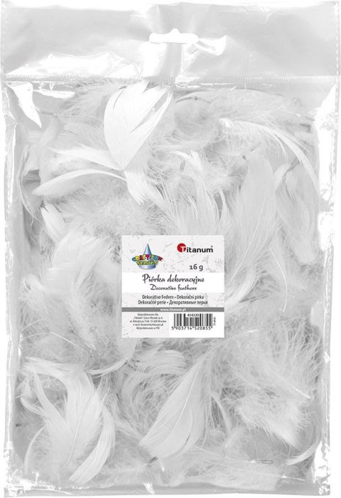 Piórka Craft-Fun Series białe Titanum Titanum