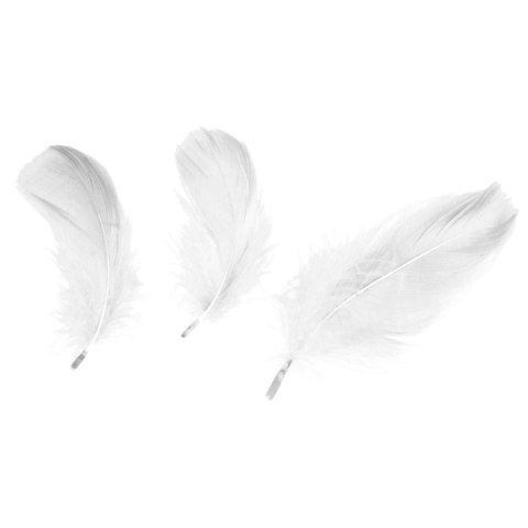 Piórka Craft-Fun Series białe Titanum Titanum