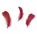 Piórka Craft-Fun Series czerwone Titanum Titanum