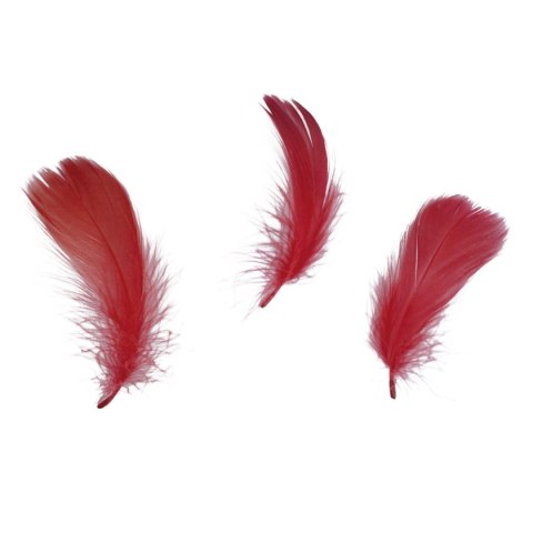 Piórka Craft-Fun Series czerwone Titanum Titanum