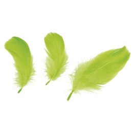 Piórka Craft-Fun Series limonka Titanum Titanum