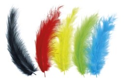 Piórka Craft-Fun Series mix 20 szt Titanum Titanum