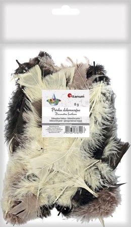 Piórka Craft-Fun Series mix Titanum (16079F) Titanum