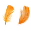 Piórka Craft-Fun Series pomarańczowy Titanum Titanum
