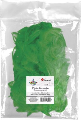 Piórka Craft-Fun Series zielone Titanum Titanum